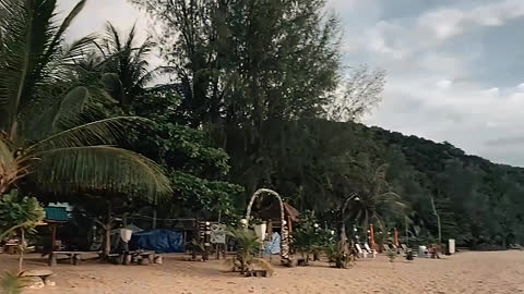 The tree of the sea