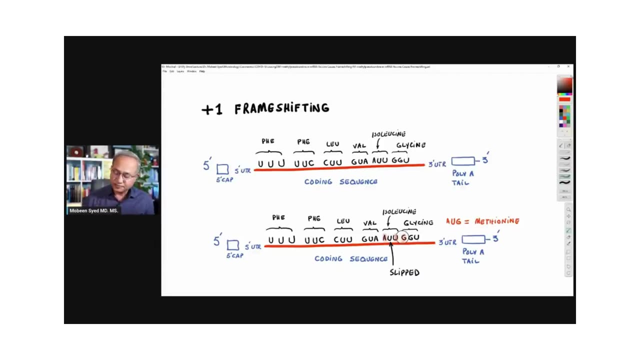 Pseudouridine In mRNA Vaccines Lead To Frameshift Mutations Pt3