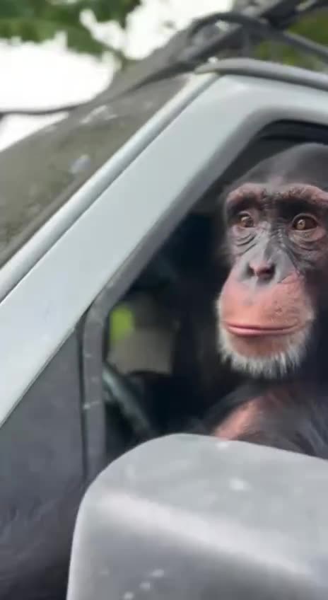 Summer driving season begins