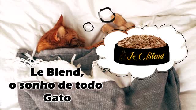 Le Blend
