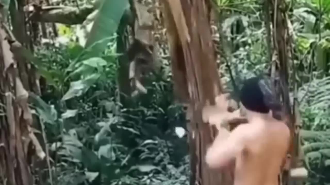 Special Skill Part IV