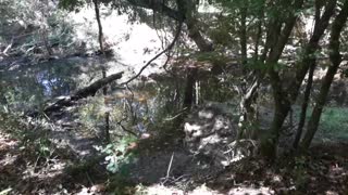 Saluda Shoals Park - Part Two