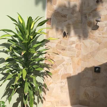 #RiverViewSuite #SleepingGiantLodge #Belize