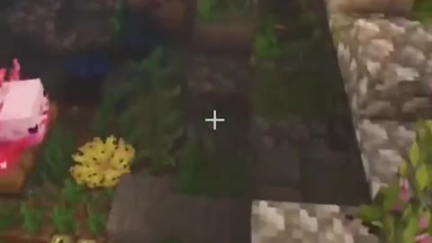 -Axolotl pond minecraft gaming qinglin