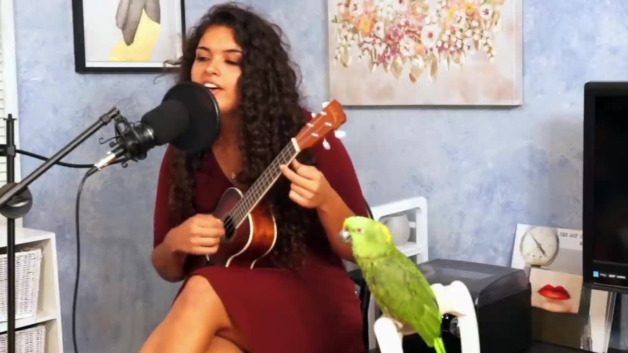 MY PARROT SINGS CREEP BY RADIOHEAD WITH ME _ Chloe Alexander