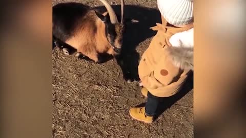 very funny video with children and animals #2