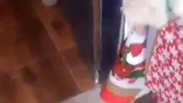 reverse cute kitten