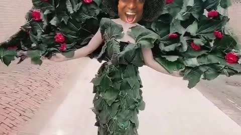 WHEN THEY SAY I'M A PLANT IN THE BBB.