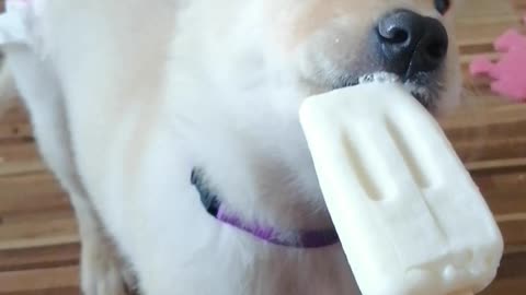 Ice Cream for Ellie