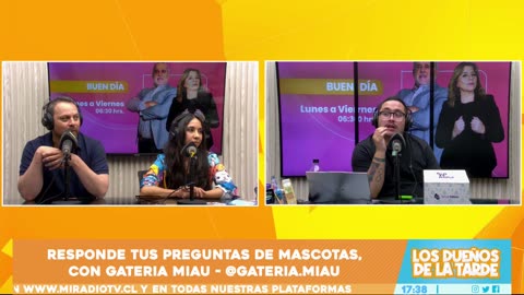 LDT 08/11/2024