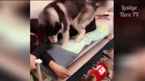 OMG Super Cute ♡ #1