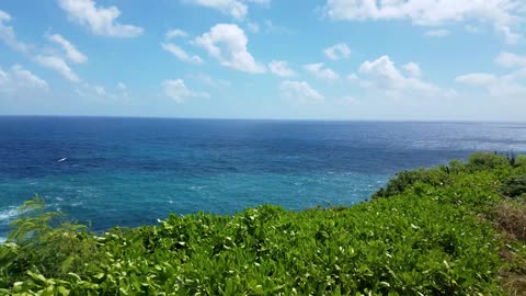 Island off Kilauea Lighthouse on Island of Kauai