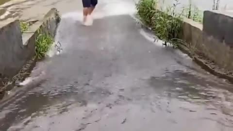 This is a beautiful and charming water-dwelling species