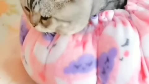 😃😃