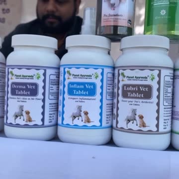 Chandigarh Horse Show (CHS) - India's Best Equestrian Festival