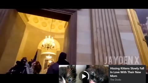 CNN Photojournalist with BLM Member to STAGE RIOTS!