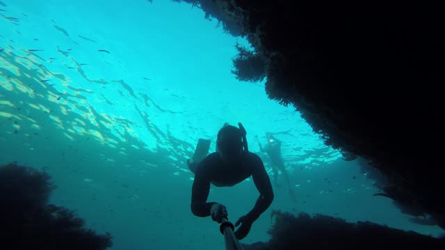 Exploring the Ocean with Friends