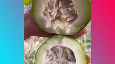 Satisfying Unique Fruit Harvest. Taste like??