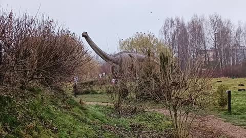 Dinosaur caught on camera!