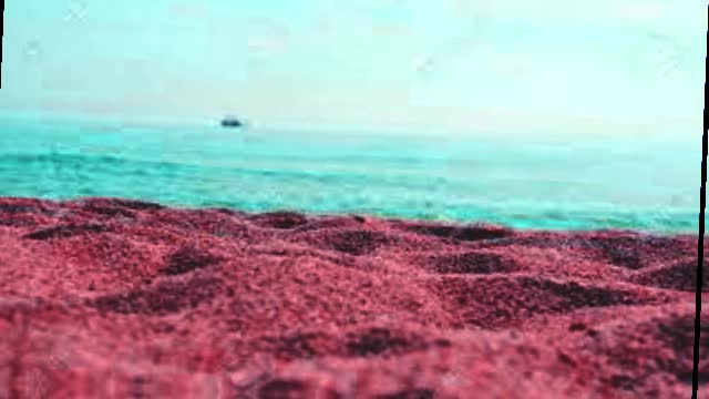 Song - Feather
