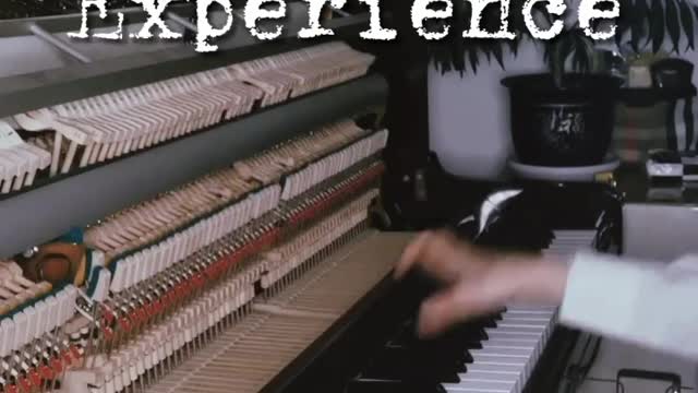 Experience