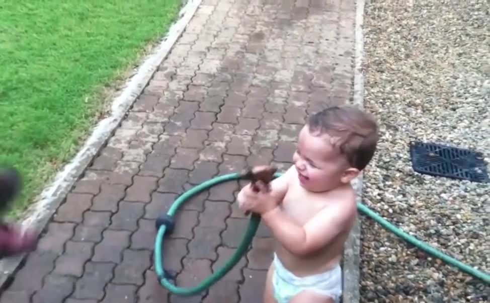 a cute baby play with dog