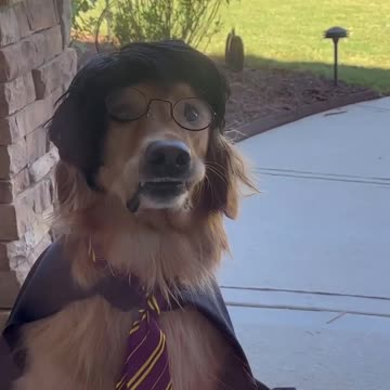 There is always that one kid…