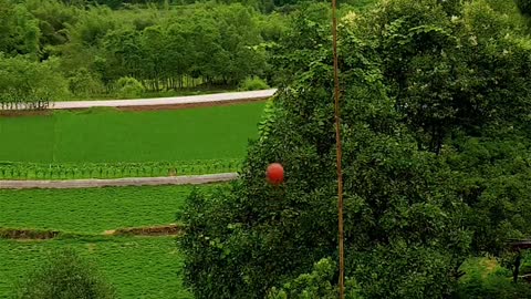 This kind of happiness is simple, one basket, one ball