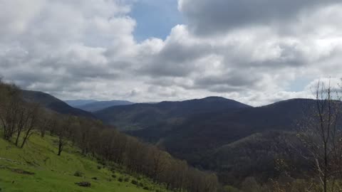 Working at Camp in the National Forest