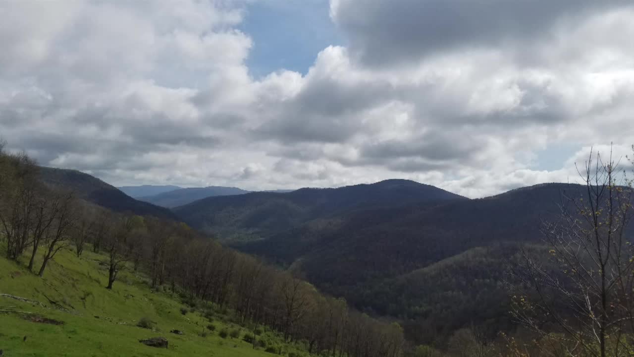 Working at Camp in the National Forest