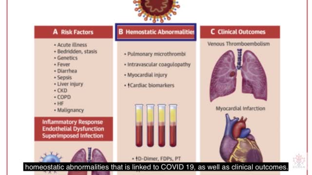 Dr Rochagne Kilian elevated D-Dimer in COVID vaccinated - WHISTLEBLOWERS