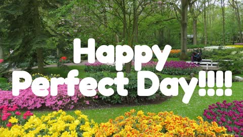 April 25 - Perfect Day - Miss Congeniality