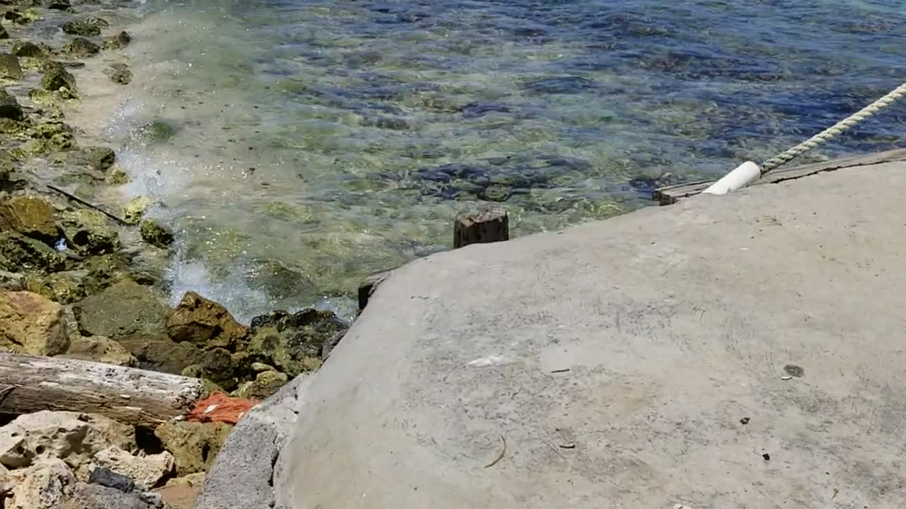 Day At The Beach In Jamaica