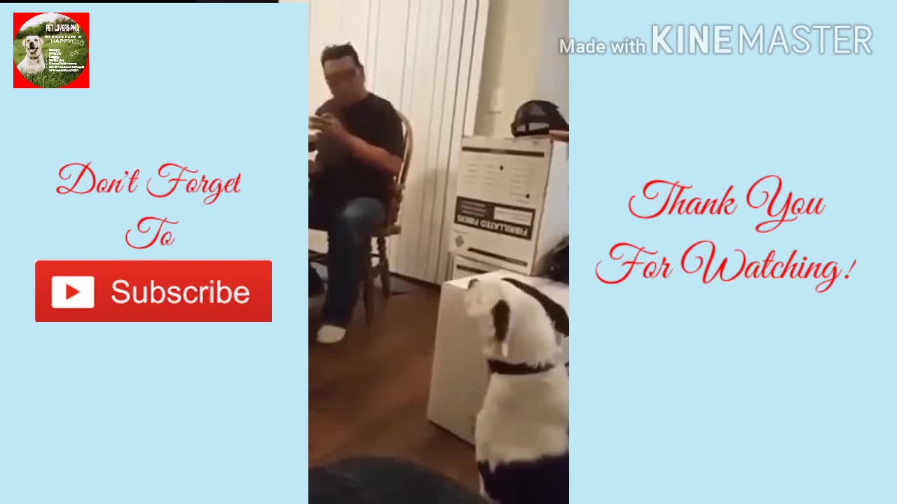 FUNNIEST DOG🐶COMPILATION😂