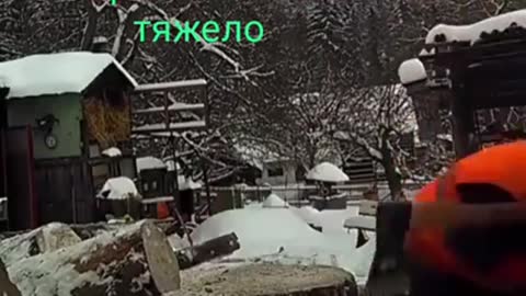 Вы всё ещё жалуетесь что жизнь к вам сурова,посмотрите этот ролик
