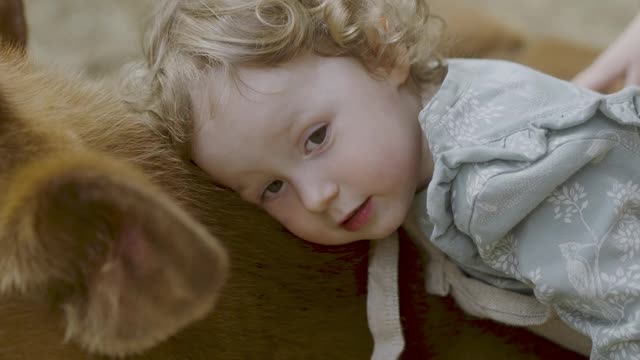 his little girl is standing over a baby cow