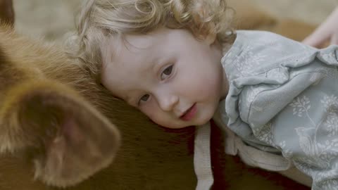 his little girl is standing over a baby cow