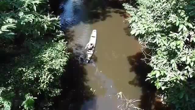 Ayahuasca healer sings a Shipibo Icaro in the Amazon Rain Forest