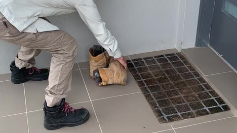 Work Boots Make a Nice Bed for a Snake