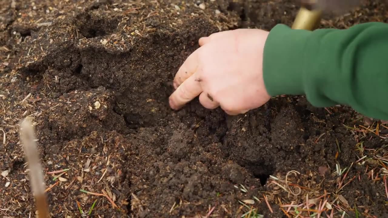Man braucht keinen Dünger, wir erklären warum