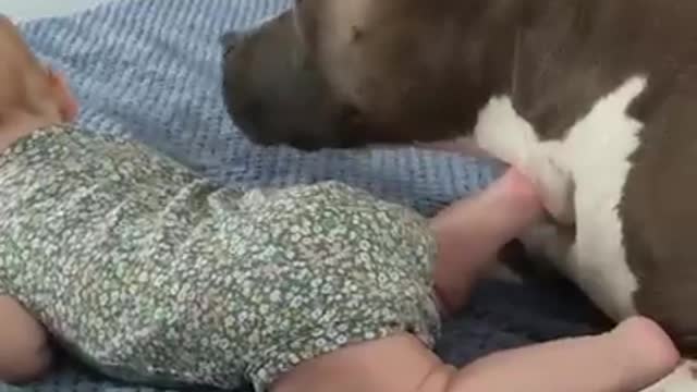 A Caring Parent
