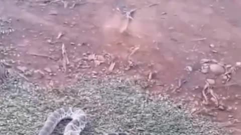 😅😅😅😅😅😅