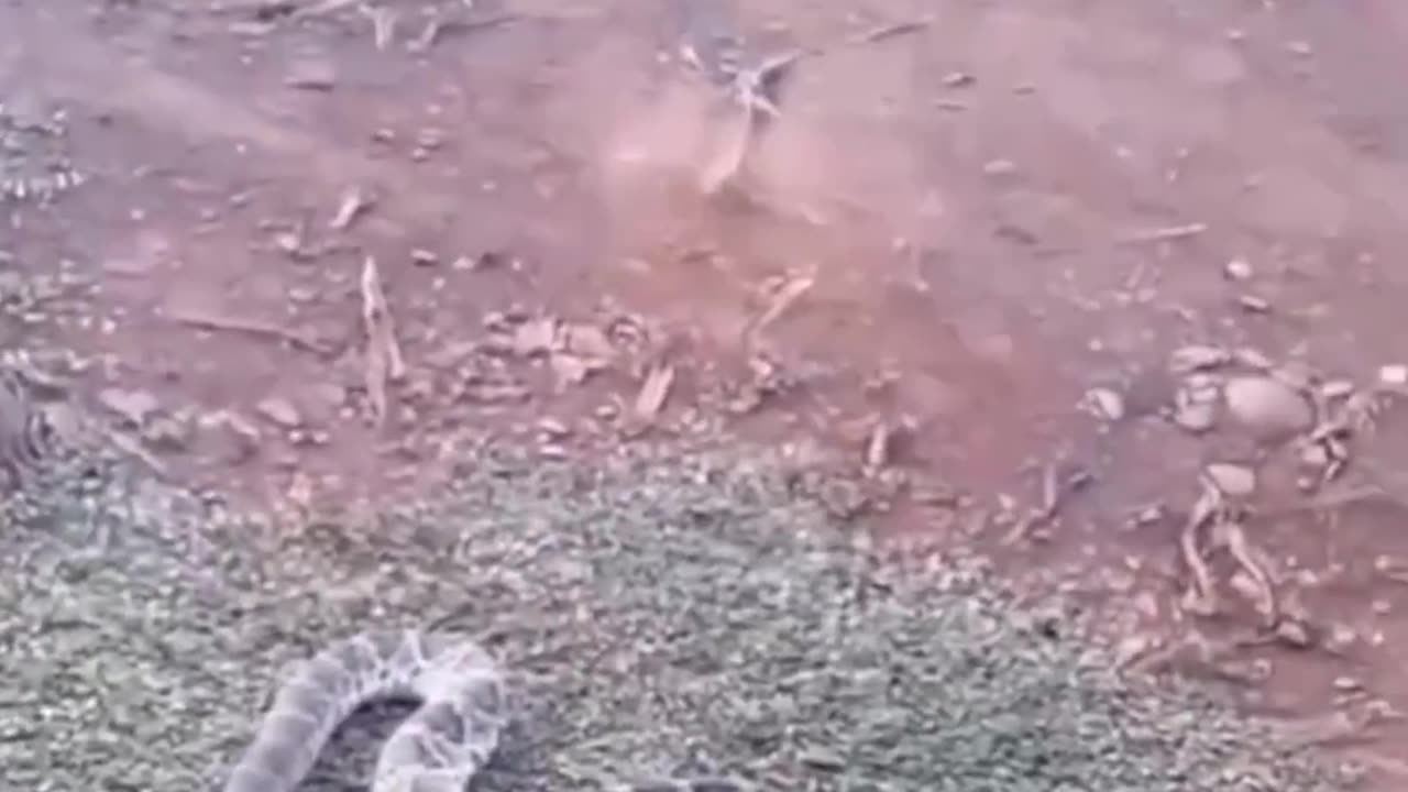 😅😅😅😅😅😅