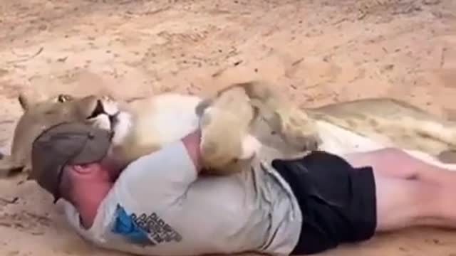 true friendship between man and lioness