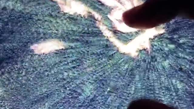 What is that?