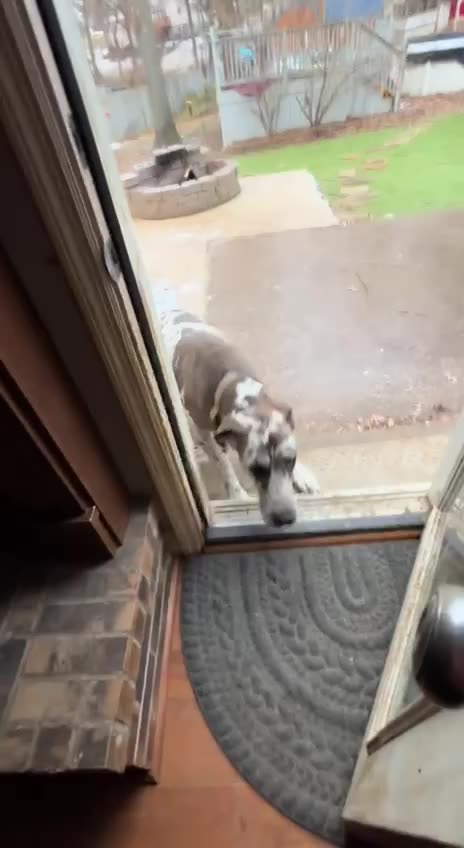 Slippery when wet 🤣😂