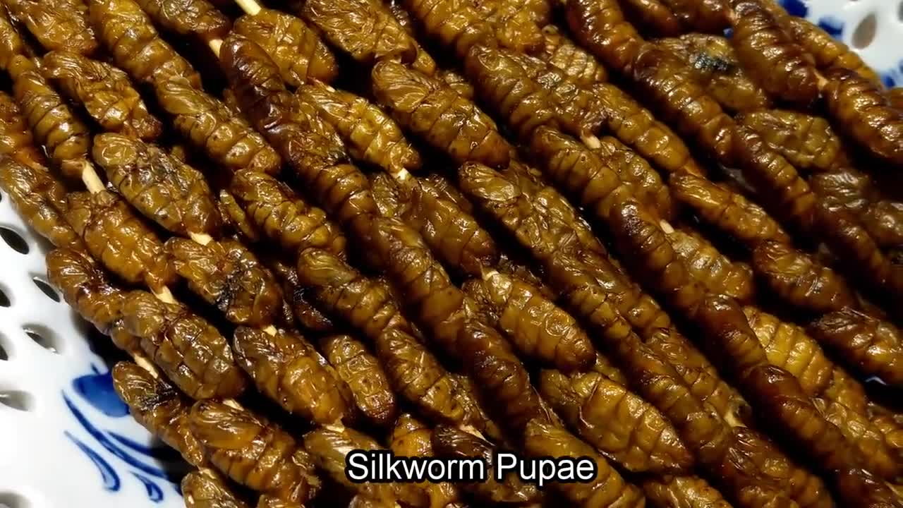 Weird Street Foods in China | Centipede Scorpion Spider