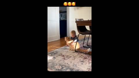 Baby&animals