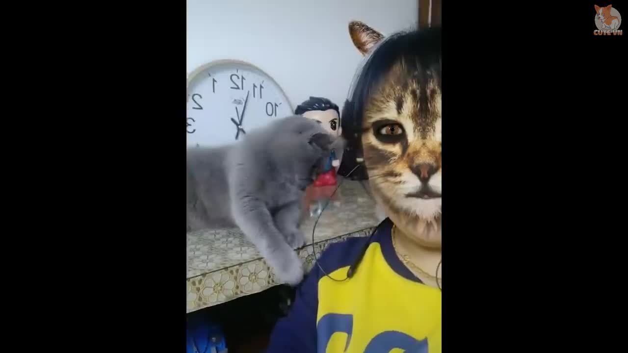 🤣Funny Dogs & Cats Scared Of Cat Mask Filter - Dog & Cat Reaction To Mask Filter