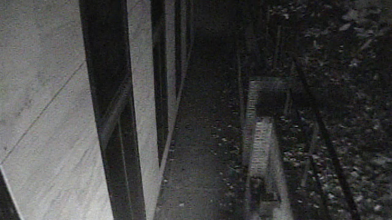 1457HSOB01GroundSoutheast_2021-01-06_06h23min04s620ms.mp4